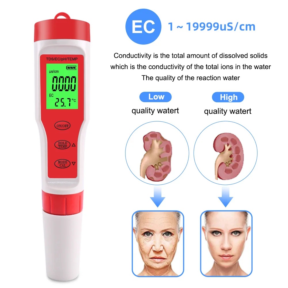 4 IN 1 TDS PH-Messgerät PH/TDS – Ph Meter Digital Water Tester Bewertung und Preis